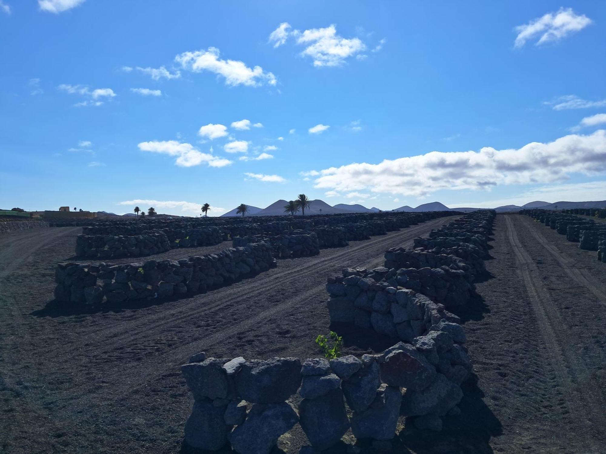 Appartamento El Lagar San Bartolomé Esterno foto